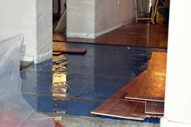 Professional Water Extraction technician working in Waverly, MI